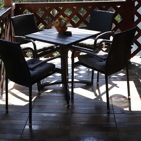 Przytulny Apartament-Cosy And Beautiful Zywiec Exterior photo